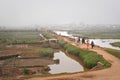 Antananarivo, Madagascar - May 07, 2019: Unknown Malagasy people and their zebu cattle walking over muddy flooded rice fields