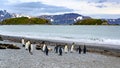 King penguins in beautiful landscape with snowcapped mountains and small ilands, South Georgia, Antarctica Royalty Free Stock Photo