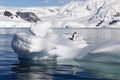 Antarctic coast