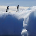 Antarctic coast