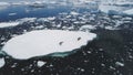 Antarctic crabeater seal rest iceberg aerial view Royalty Free Stock Photo