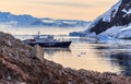 Antarctic cruise ship among icebergs and Gentoo penguins gathered on the rocky shore of Neco bay, Antarctica