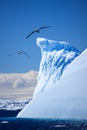 Antarctic iceberg