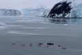 Antarctic kayakers silhouetted