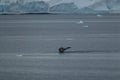 Antarctic landscape , Near Port Lacroix, Royalty Free Stock Photo