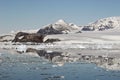 Antarctic mountains