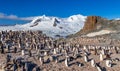 Antarctic panorama with hundreds of chinstrap penguins crowded on the rocks with snow mountains in the background, Half Moon Royalty Free Stock Photo