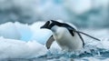 Antarctic Penguin Swimming in Pristine Waters