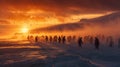 Antarctic penguins huddle at sunset in vast snowfield for stunning wildlife photography Royalty Free Stock Photo