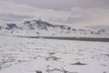 Antarctic peninsula with pack ice Royalty Free Stock Photo