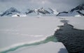 Antarctic sea ice Royalty Free Stock Photo