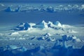 Antarctic snowfield Royalty Free Stock Photo