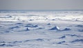 Antarctic snowfields Royalty Free Stock Photo