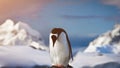 Antarctic Wildlife: lonley penguin standing on the rock