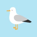 Antarctica albatross icon. Petrel Seagull wandering royal bird. Arctic animal collection. Cute cartoon baby character