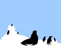 Antarctica animals scenario