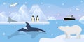 Antarctica beautiful wildlife, vector illustration. Cute penguins, seal on iceberg, whale in blue ocean water. Travel to