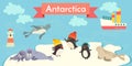 Antarctica cartoon set. Penguin, walrus, seal, lighthouse, boat.