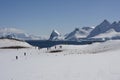 Antarctica, Cuverville Island Royalty Free Stock Photo