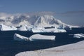 Antarctica, cuverville island Royalty Free Stock Photo