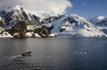 Antarctica - Danko Island in Paradise Bay Royalty Free Stock Photo