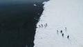 Antarctica gentoo penguin jump water aerial view Royalty Free Stock Photo