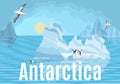 Antarctica penguins and albatrosses on icebergs Royalty Free Stock Photo