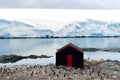 Antarctica - penguins, glaciers, small shack. Beautiful scenic landscape with snow covered mountains and small hut with red door