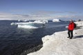 Antarctica - South Shetland Islands - Tourist