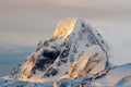 Antarctica view. Endless winter. Glaciers and Icebergs. Mountains Royalty Free Stock Photo
