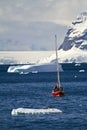 Antarctica Wildlife Expedition