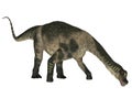 Antarctosaurus Royalty Free Stock Photo