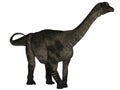 Antarctosaurus - 3D Dinosaur Royalty Free Stock Photo