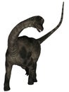 Antarctosaurus - 3D Dinosaur Royalty Free Stock Photo