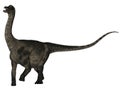 Antarctosaurus - 3D Dinosaur Royalty Free Stock Photo