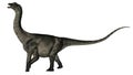 Antarctosaurus dinosaur - 3D render Royalty Free Stock Photo