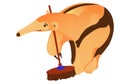 Anteater