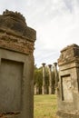 Antebellum Windsor Ruins Royalty Free Stock Photo