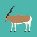 Antelope addax wildlife endangered species nature animal conservation goat mammal oryx character vector illustration