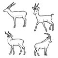 Antelope Animal Vector Illustration Hand Drawn Cartoon Art