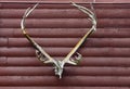 Antelope Antlers Royalty Free Stock Photo