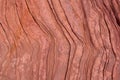 Antelope Canyon Arizona curves texture detail Royalty Free Stock Photo