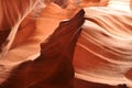 Antelope Canyon Desert Wolf