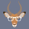 Antelope face glasses vector illustration front