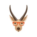 Antelope face head glasses vector illustration flat style front