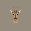 Antelope female polygonal portrait.