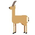 Antelope flat illustration