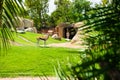 Antelope grazes the grass near a giraffe