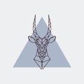 Antelope head in polygonal style.