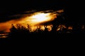 Africa- Red Hartebeest Horns in the Sunrise